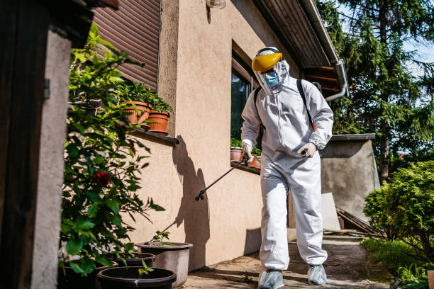 Best Pest Control Near Me in Four Corners, TX