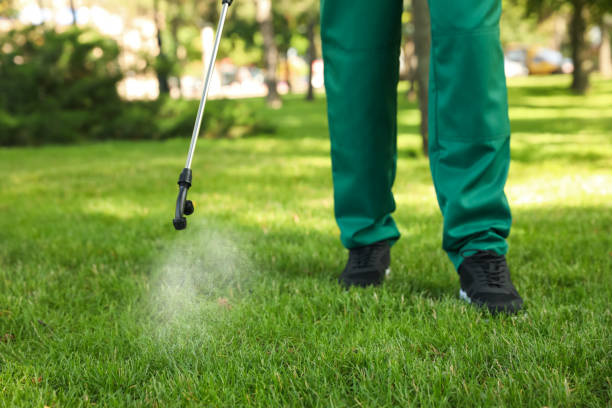 Pest Control Cost in Four Corners, TX