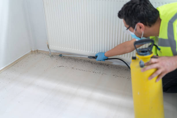 Best Best Pest Control Companies  in Four Corners, TX